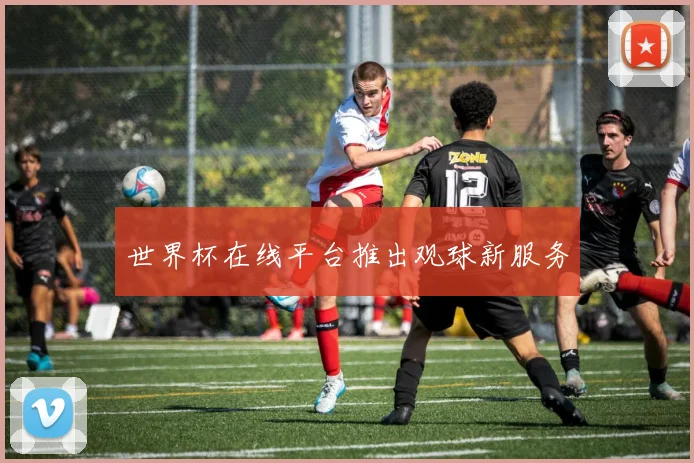 世界杯在线平台推出观球新服务