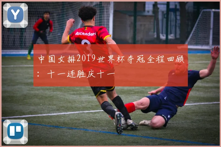 中国女排2019世界杯夺冠全程回顾：十一连胜庆十一