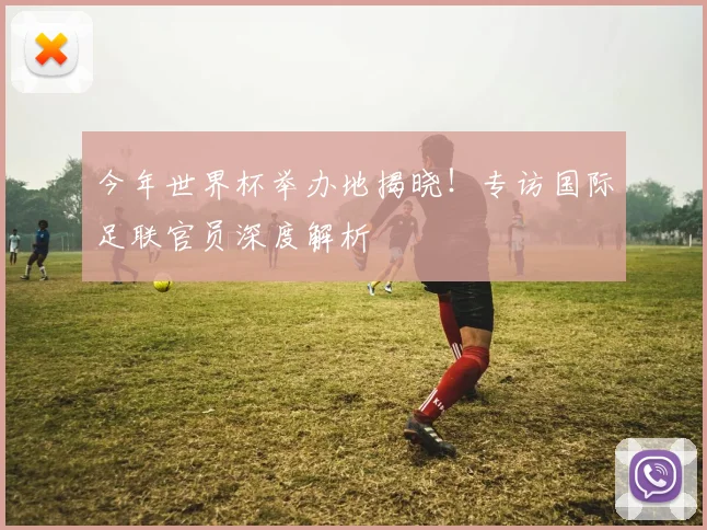 今年世界杯举办地揭晓！专访国际足联官员深度解析