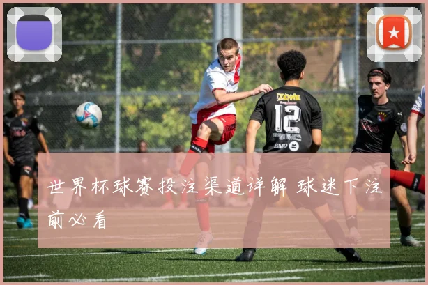 世界杯球赛投注渠道详解 球迷下注前必看