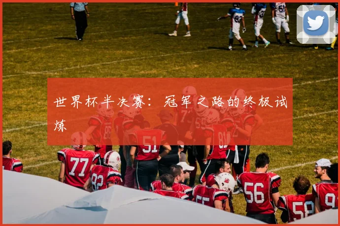 世界杯半决赛：冠军之路的终极试炼