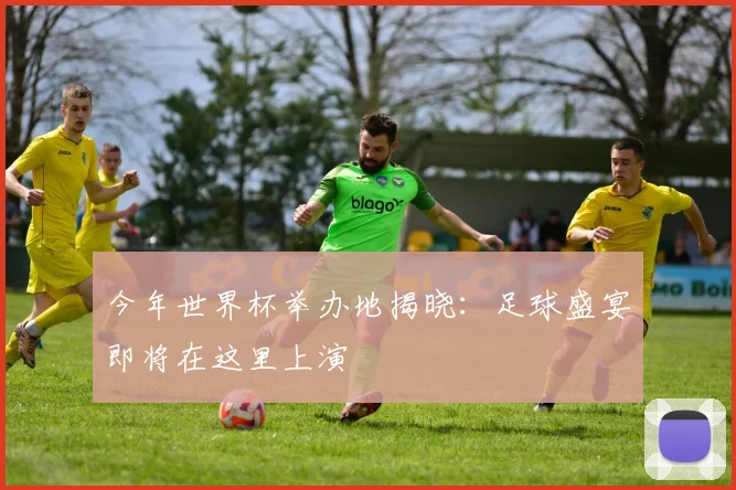 今年世界杯举办地揭晓：足球盛宴即将在这里上演
