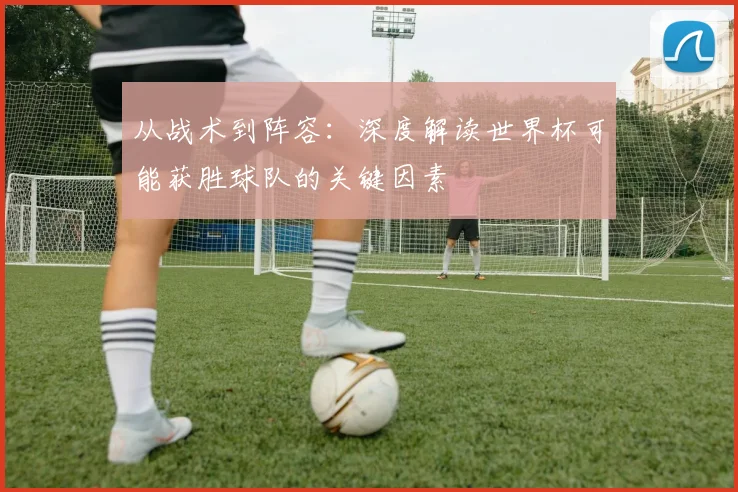 从战术到阵容：深度解读世界杯可能获胜球队的关键因素