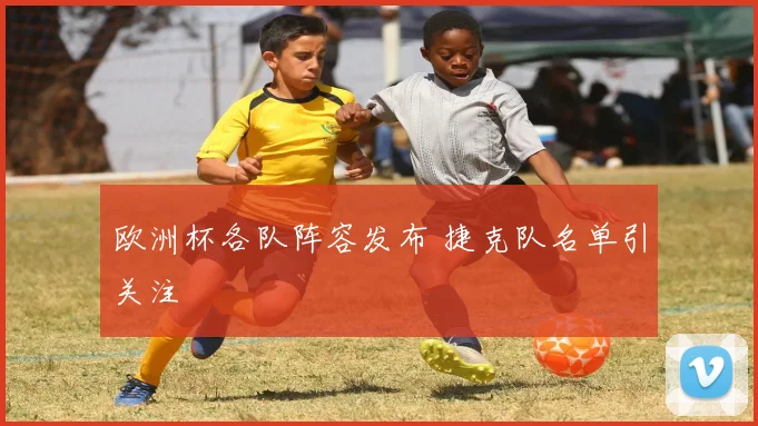 欧洲杯各队阵容发布 捷克队名单引关注