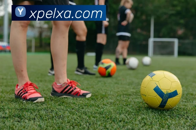 多媒体互动体验